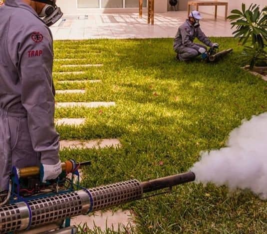 Services d'entretien des terrains